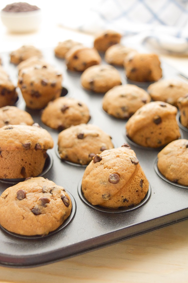 Chocolate Chip Mini Muffins (vegan) | Where You Get Your Protein
