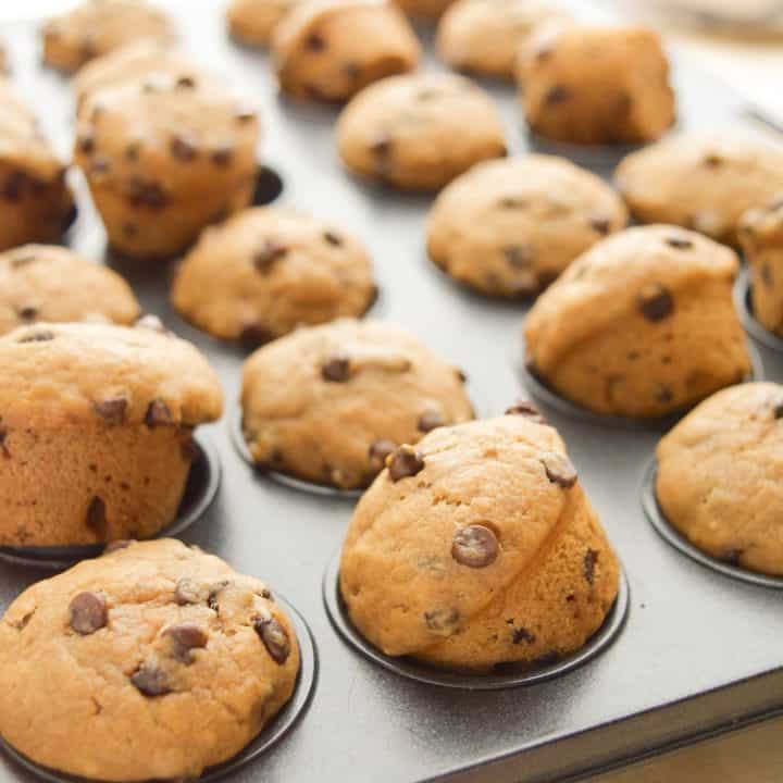 https://www.whereyougetyourprotein.com/wp-content/uploads/2016/08/mini-chocolate-chip-muffins-1-720x720.jpg