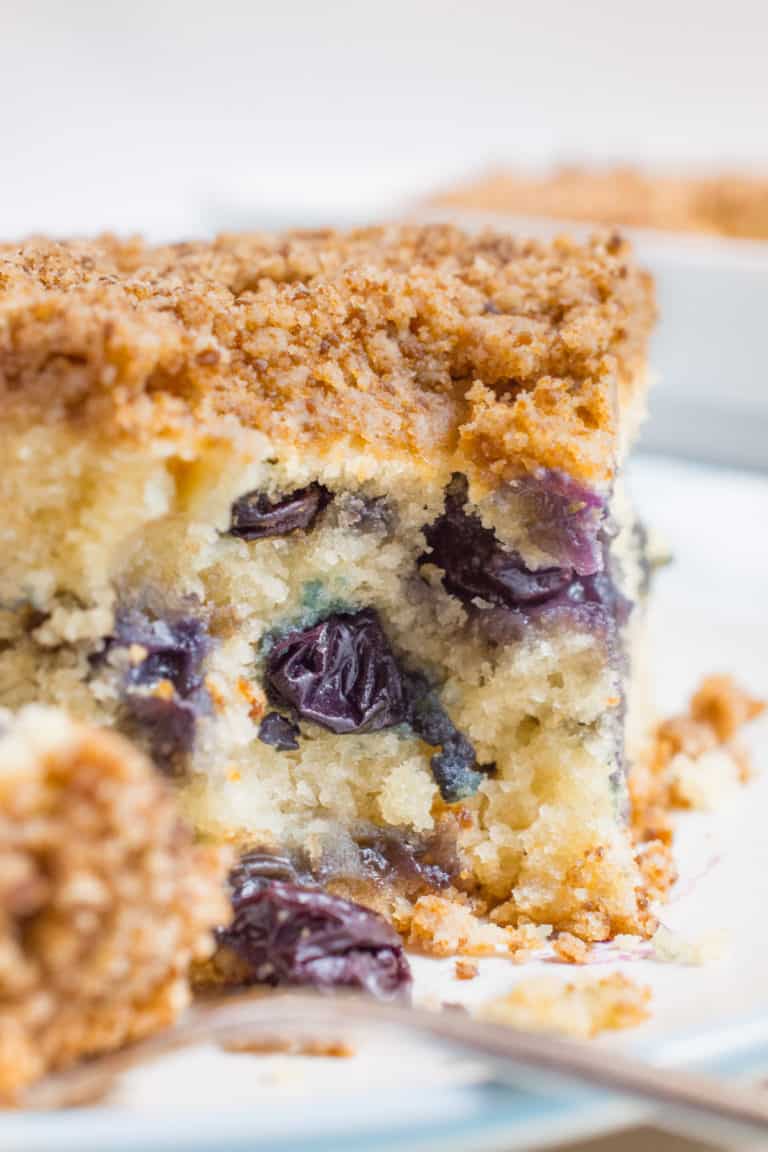Blueberry Breakfast Cake (vegan) | Where You Get Your Protein