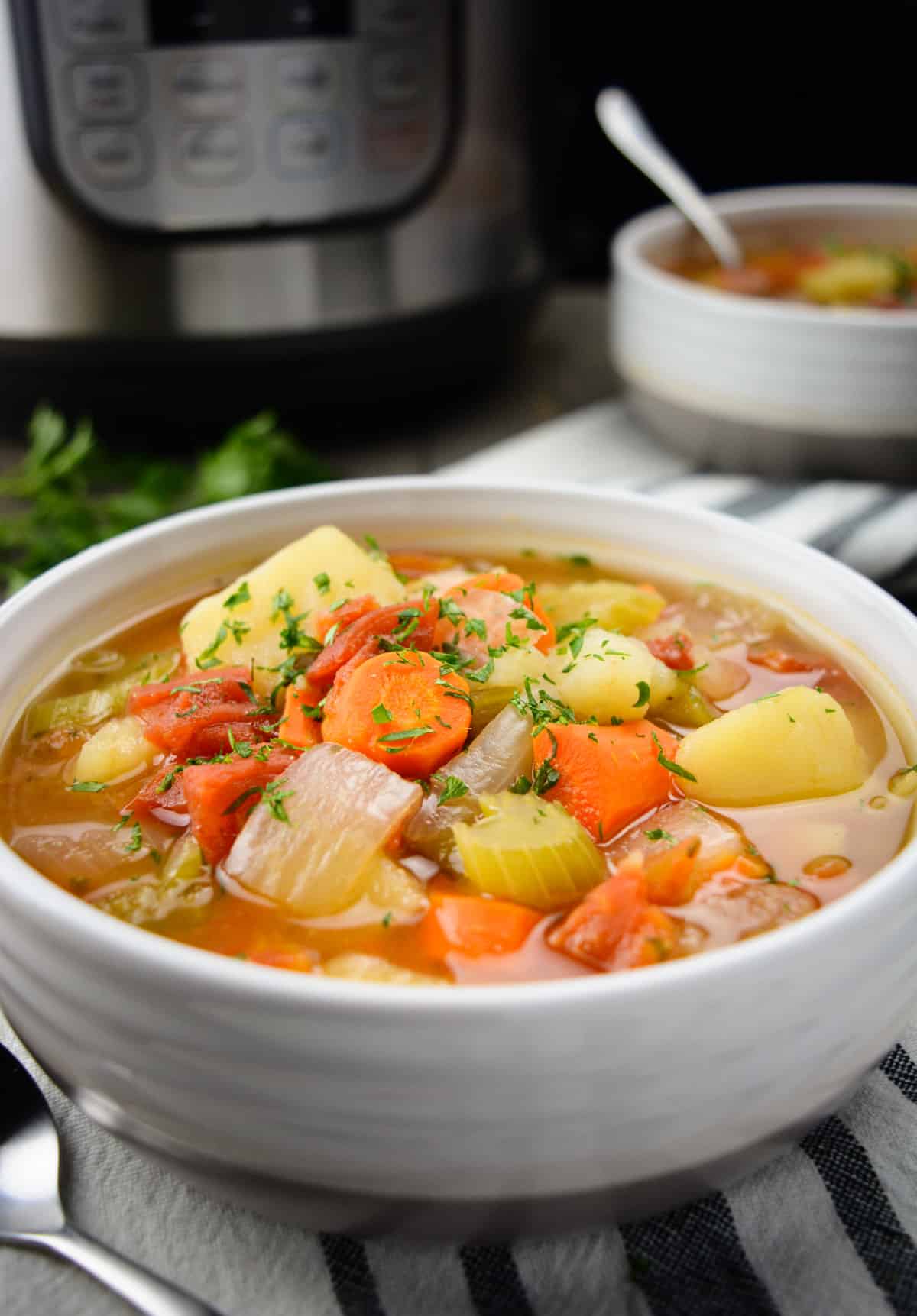 The Best Instant Pot Vegetable Soup - Alphafoodie
