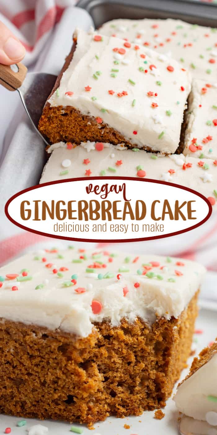 Vegan Gingerbread Cake | Where You Get Your Protein